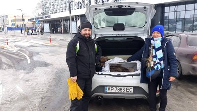 Приблудився до аеропорту. Запорізькі зоозахисники врятували єнотовидного собаку
