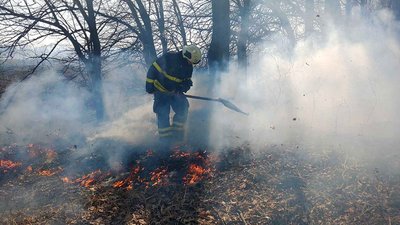 Спалювання трави: скільки людей на Полтавщині за добу отримали штрафи