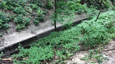 У Києві розчистили струмок зі збитками у 2 млн гривень