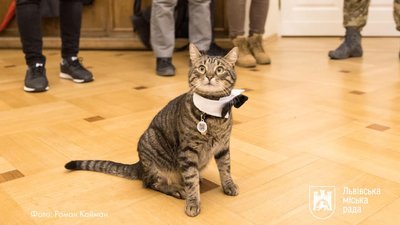 Котячий мер Львова Левчик під час реєстрації шлюбу Котячий мер Львова Левчик під час реєстрації шлюбу