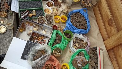 На Рівненщині викрили підпільний цех з обробки бурштину На Рівненщині викрили підпільний цех з обробки бурштину