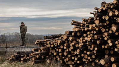 Керівника Миколаївського КЕУ підозрюють у розтраті грошей на закупівлі деревини ЗСУ