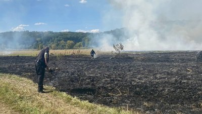 Пожежа на полі у Бабаях