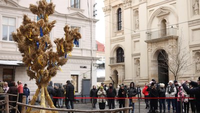 У Львові встановили різдвяного дідуха — фоторепортаж