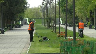 Луцький озеленять на майже 18 мільйонів гривень