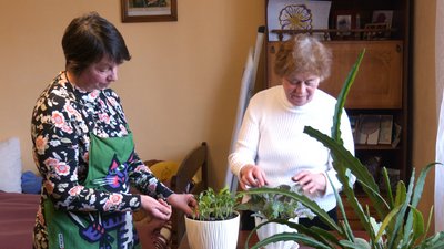 "Ми стали однією родиною". Жителька Прикарпаття двічі прихистила переселенців з Київщини "Ми стали однією родиною". Жителька Прикарпаття двічі прихистила переселенців з Київщини