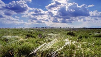 Заповіднику Асканія-Нова на Херсонщині Заповіднику Асканія-Нова на Херсонщині