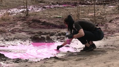 З рожевих калюж у полі Корнинської громади беруть проби