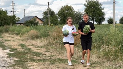 “Цього року я вже кавунів наївся”: волинянин про те, як вирощує баштани “Цього року я вже кавунів наївся”: волинянин про те, як вирощує баштани