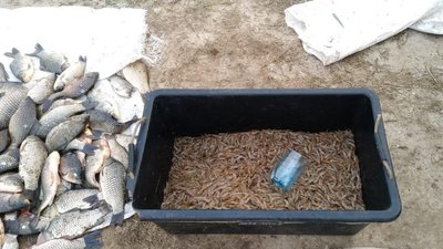 На Миколаївщині правоохоронці затримали рибалок, які порушили нерестову заборону На Миколаївщині правоохоронці затримали рибалок, які порушили нерестову заборону