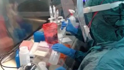 У 3 лабораторіях Львова проводять ПЛР-тестування на COVID-19 У 3 лабораторіях Львова проводять ПЛР-тестування на COVID-19