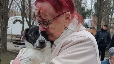"Взяла на руки, і все — моє". У Миколаєві організували виставку-прилаштування тварин