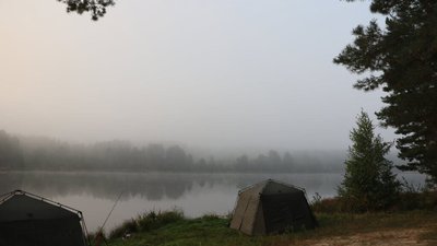 Київського підприємця зобов'язали повернути лісове озеро у власність громади на Житомирщині Київського підприємця зобов'язали повернути лісове озеро у власність громади на Житомирщині