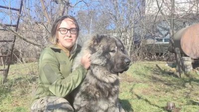 "За сардельки продать всіх". Життя пса Масада у складі миколаївської бригади "За сардельки продать всіх". Життя пса Масада у складі миколаївської бригади