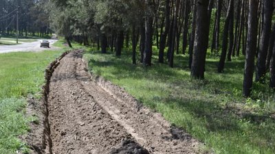 Ліси Черкащини вразливі до пожеж: як підготувалися лісівники Ліси Черкащини вразливі до пожеж: як підготувалися лісівники