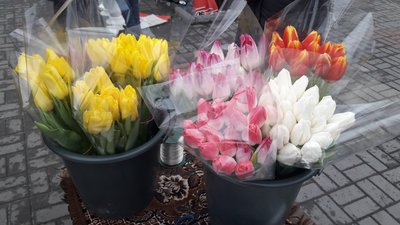 У Черкасах запрацював квітковий ярмарок до Дня закоханих
