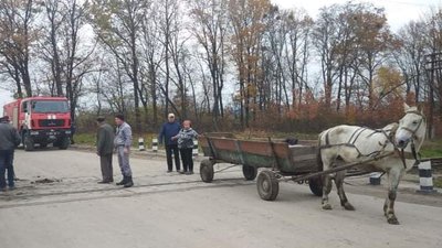 На Волині з 15-метрової криниці витягли кошеня На Волині з 15-метрової криниці витягли кошеня