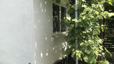 Переселенці Наталія та Сергій Рижкови з Рубіжного шукають роботу на Житомирщині Переселенці Наталія та Сергій Рижкови з Рубіжного шукають роботу на Житомирщині