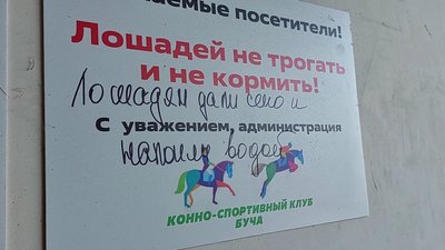 Розстріляні коні у Бучі: як шукали та рятували вцілілих Розстріляні коні у Бучі: як шукали та рятували вцілілих