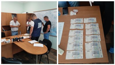 ДБР викрило директора парка ДБР викрило директора парка