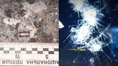 Рикошету не було: нові деталі стрілянини у пса та його власника на Рівненщині Рикошету не було: нові деталі стрілянини у пса та його власника на Рівненщині
