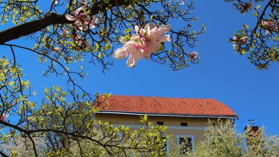 Львівський музей "Дім Франка" відновлює роботу і запрошує на благодійні екскурсії