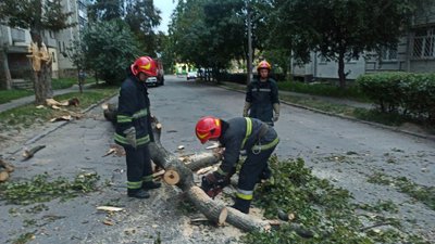УВінниці через негоду падали дерева УВінниці через негоду падали дерева