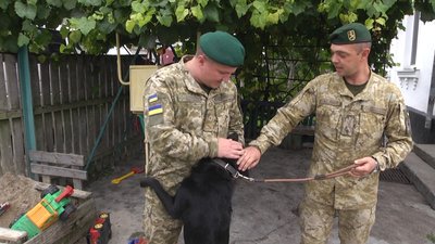 У Житомирі врятований пес Лаккі готується святкувати свій третій день народження У Житомирі врятований пес Лаккі готується святкувати свій третій день народження