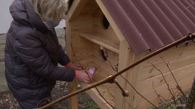 У Черкасах встановили ще одну "котохатку" У Черкасах встановили ще одну "котохатку"