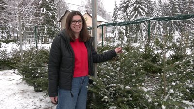 "Люди ще не всі переналаштувалися": як стартував продаж ялин та сосен на Рівненщині у 2023 році "Люди ще не всі переналаштувалися": як стартував продаж ялин та сосен на Рівненщині у 2023 році