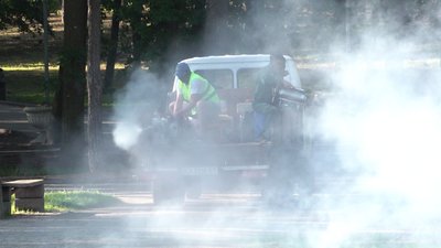 Від кліщів та шкідливих комах: у Черкасах обробляють парки