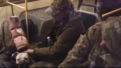 Окупанти вкрали собаку з "Азовсталі" і передали його Кадирову