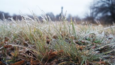 Скасовані рейси та ДТП: наслідки ожеледиці на Вінниччині Скасовані рейси та ДТП: наслідки ожеледиці на Вінниччині