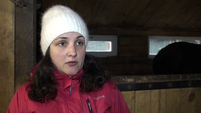 Іпотерапія для дітей: у Житомирі хочуть запровадити заняття для дітей-переселенців Іпотерапія для дітей: у Житомирі хочуть запровадити заняття для дітей-переселенців