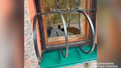У Полтаві чоловік розбив вікно в кафе та вкинув у приміщення гранату