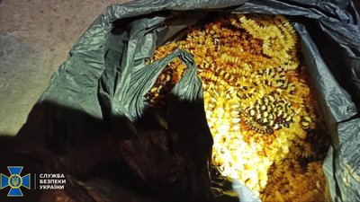 На Рівненщині вилучили понад 800 кг бурштину, який мали продати в Туреччину На Рівненщині вилучили понад 800 кг бурштину, який мали продати в Туреччину