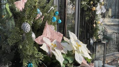 Яким Дніпро зустрічає Новий рік – фоторепортаж