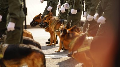 Парад до Дня Незалежності, 24 серпня 2021 року Парад до Дня Незалежності, 24 серпня 2021 року