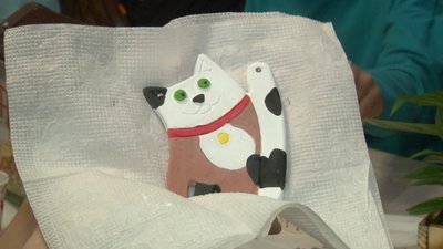 У Черкасах для котиків зібрали 1300 гривень