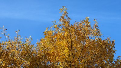 Херсон, погода, природа, осінь