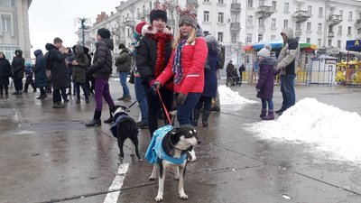 Новорічна акція "Тваринка під ялинку" відбулася в Сумах Новорічна акція "Тваринка під ялинку" відбулася в Сумах