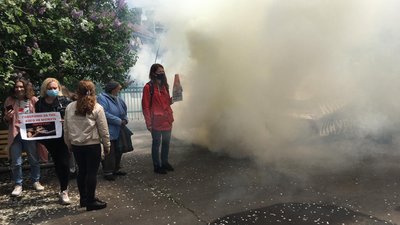На Житомирщині зоозахисники протестували під судом, де розглядають справу про катування тварин На Житомирщині зоозахисники протестували під судом, де розглядають справу про катування тварин