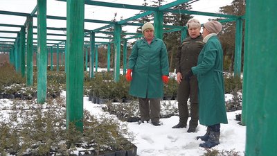 "Мені це подобається та приносить задоволення": історія лісівниці з Вінниччини "Мені це подобається та приносить задоволення": історія лісівниці з Вінниччини