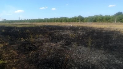 У Миколаївській області рятувальники 9 разів ліквідовували пожежі на відкритих територіях У Миколаївській області рятувальники 9 разів ліквідовували пожежі на відкритих територіях
