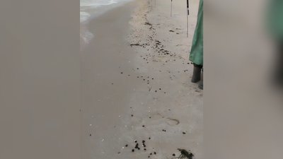 "Біда буде для всього Азовського моря": наслідки аварії російських танкерів у Керченській протоці "Біда буде для всього Азовського моря": наслідки аварії російських танкерів у Керченській протоці