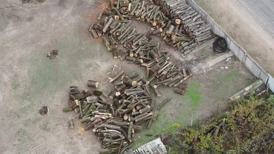 На Херсонщині лісничі за допомоги квадрокоптера знайшли незаконно спиляні дерева