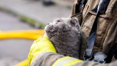 П'ятеро поранених і десять пошкоджених житлових будинків: наслідки повітряної атаки РФ на Рівненщині 1 травня