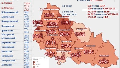 На Закарпатті за добу виявили понад 200 випадків COVID-19 На Закарпатті за добу виявили понад 200 випадків COVID-19