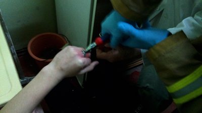 Знімають із дерева та зрізають каблучки: у які халепи найчастіше потрапляють діти на Полтавщині Знімають із дерева та зрізають каблучки: у які халепи найчастіше потрапляють діти на Полтавщині