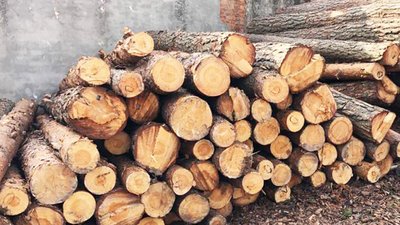 Контрабанда лісоматеріалів на мільйони гривень — у Житомирі двом чоловікам повідомили про підозру Контрабанда лісоматеріалів на мільйони гривень — у Житомирі двом чоловікам повідомили про підозру